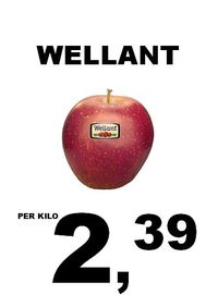 wellant2,39kg